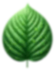 Phục Não Thang